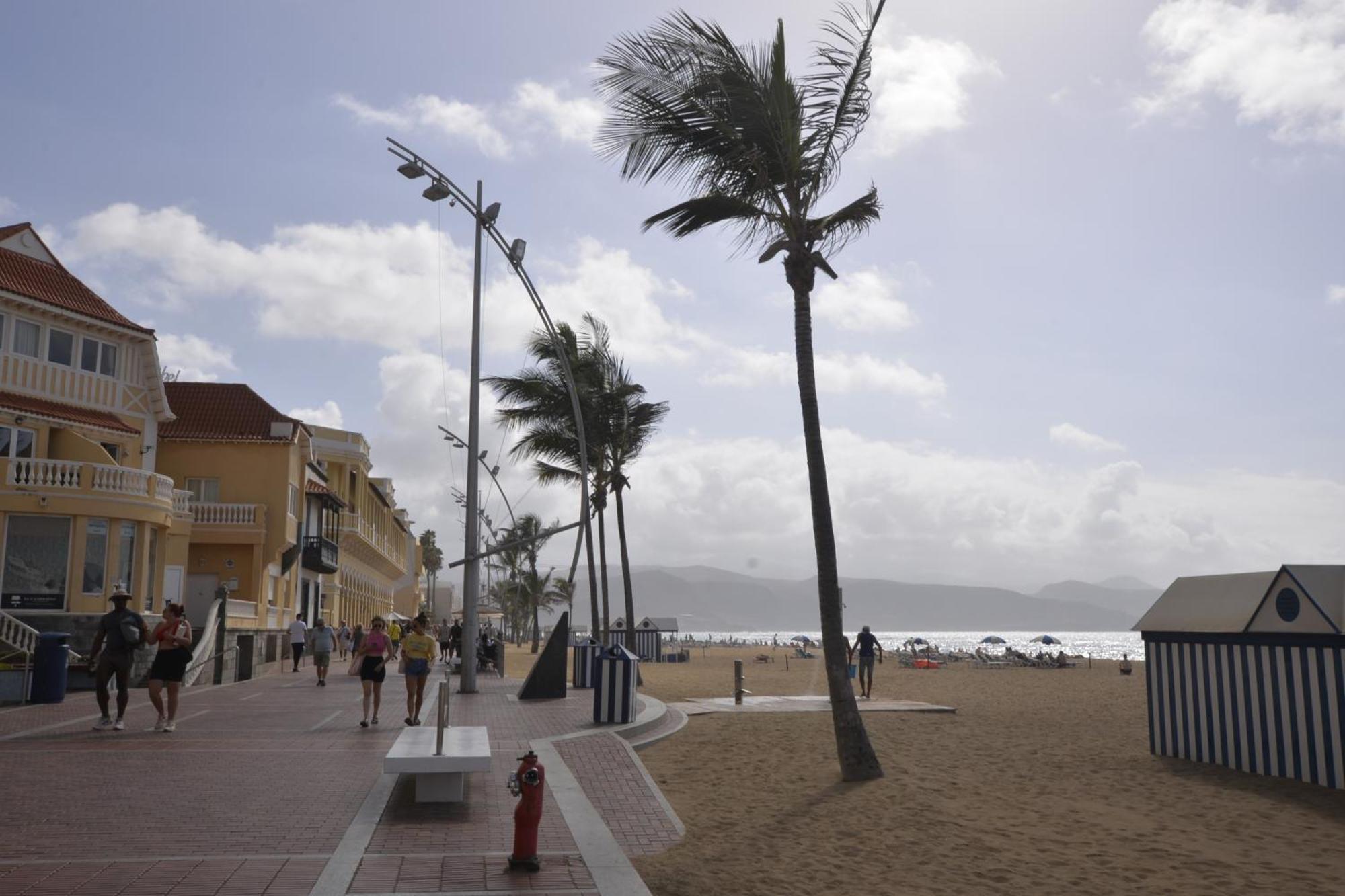 Apartamento Maralma Las Palmas de Gran Canaria Luaran gambar